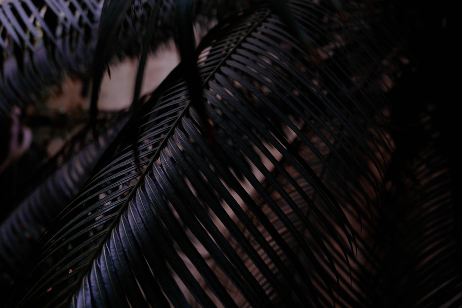 High Fashion Insights: Pairing Midi Dresses and Luxury Handbags